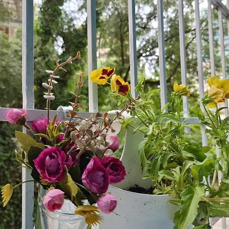 Party For Big Groups 公寓 *