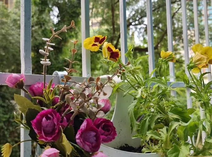 Party For Big Groups Apartament *